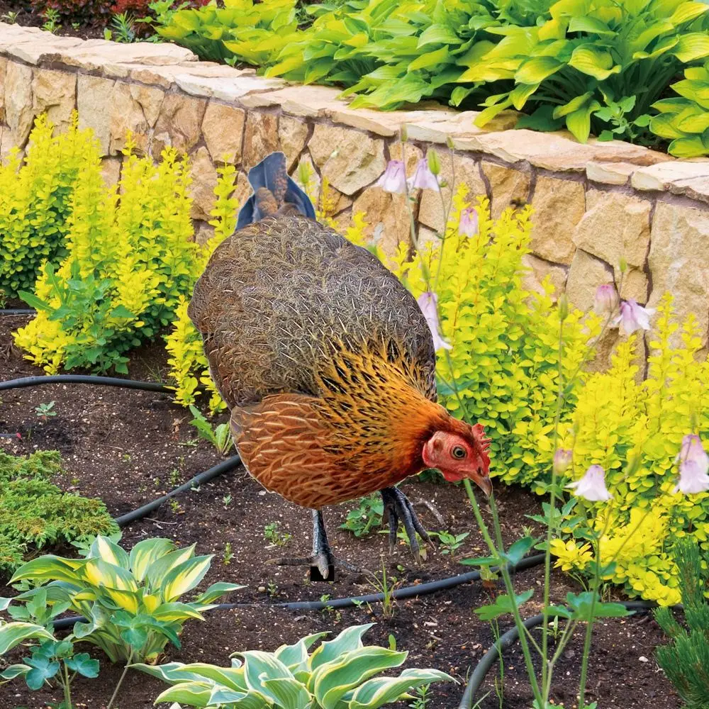 Slide image d9446ba8bb0f4df09b459d3b4d7fe7c6