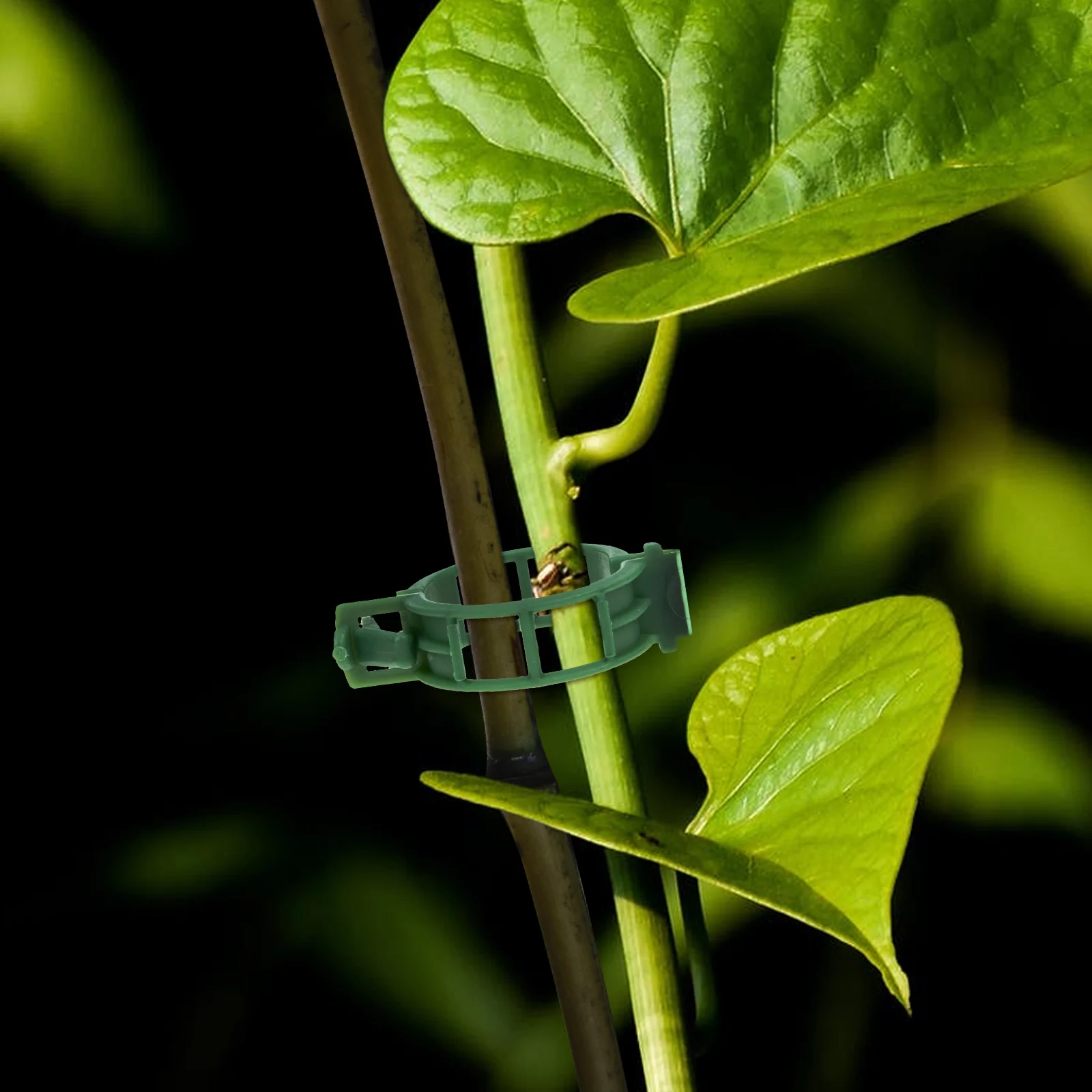 200-Pcs-Plastic-Vines-Garden-Rattan-Clips-Plastic-Support-Clamp-Stem-Supports-Orchid-Vine.jpg 200 Db Műanyag Szőlő Kerti Rattan Klipek Tartó Bilincs Szárát Támogatja Az Orchidea - Image 4