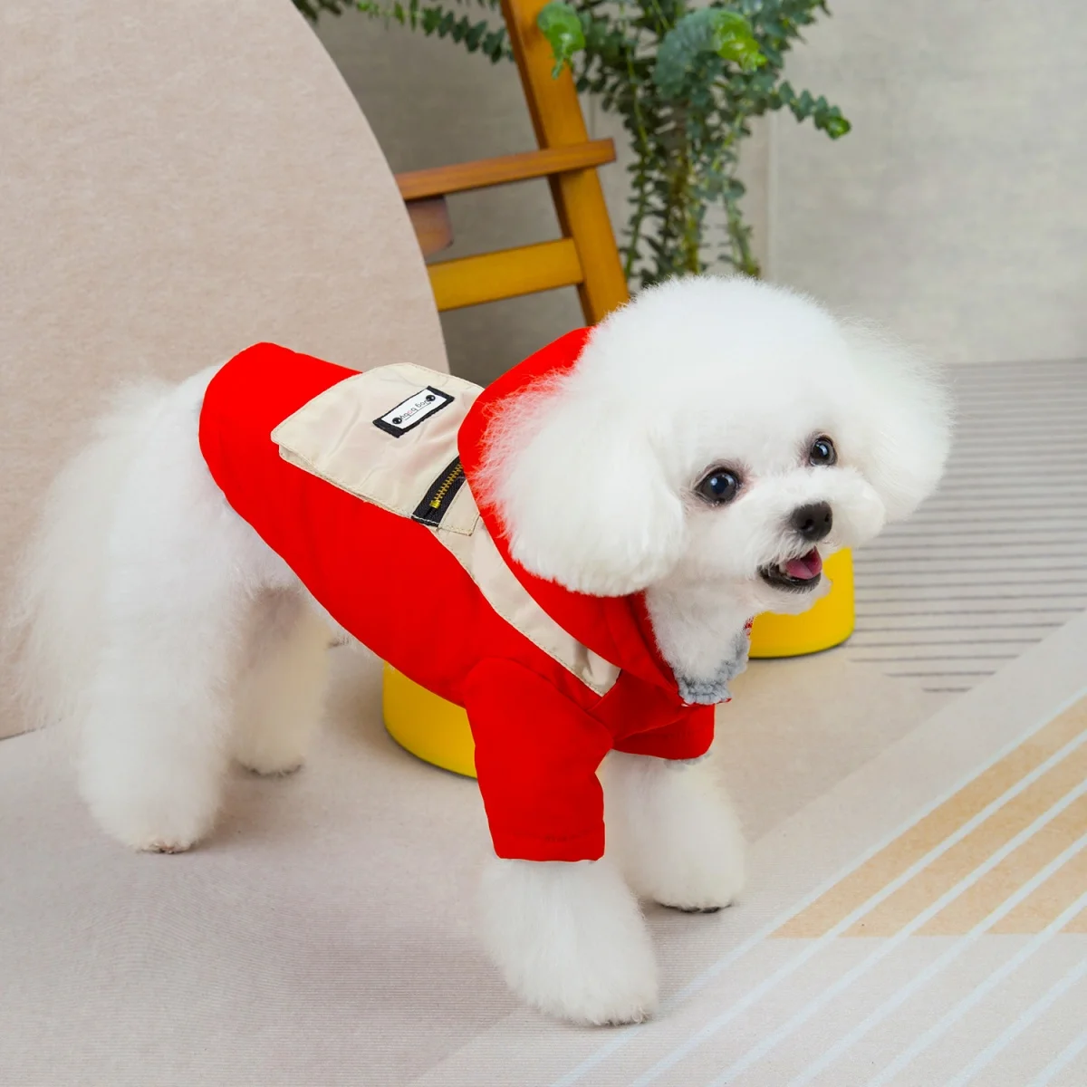 Pet Autumn Winter Warm Winter Dog Clothes Pomeranian Doll Small Dog 3D Bag Two Leg Cotton Clothes