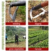 Hollow Hoe Weeding Rake Labor-saving Weeding & Loosening Soil Artifact Harrow Handheld steel weeding hoe Hoe Farm Tool Gardening 6