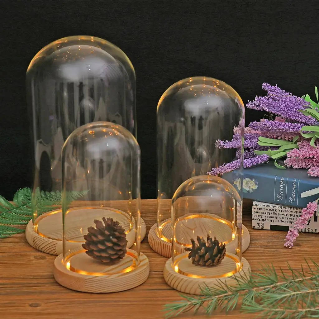 Tabletop Display Glass Cover Terrarium Container Decor Dry Flower Ornaments Craft Bell Jar Wood Base with Feet LED Light Holder