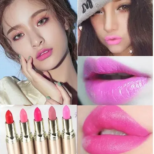 핑크 립스틱 방수 오래 지속되는 레드 립스틱, 내성 로즈 립 스틱, 벨벳 립스틱 화장품, 소녀 여성 메이크업, 립스틱 2