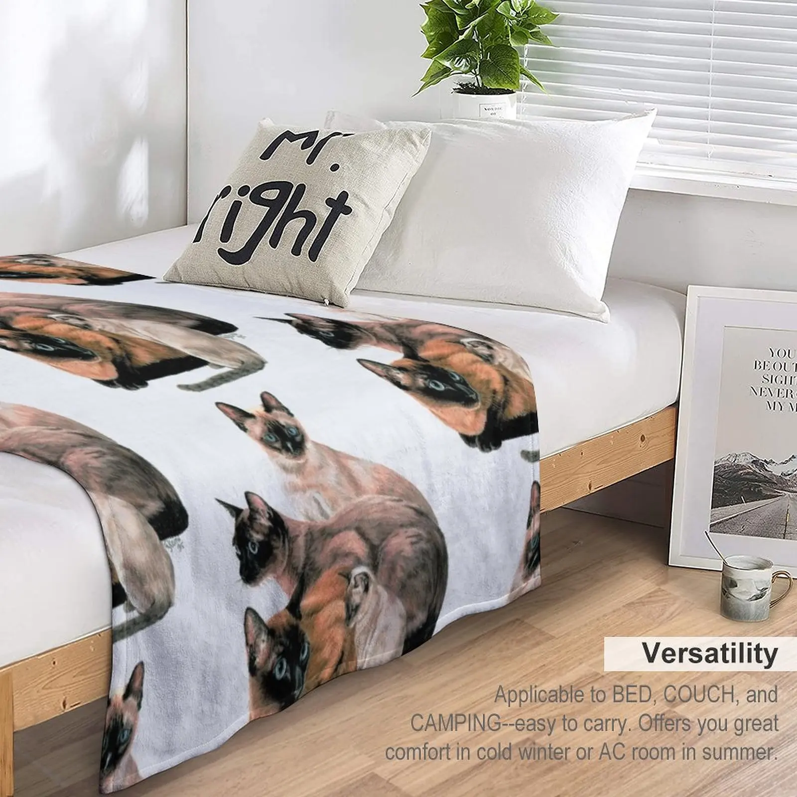 Tonkinese ��� ������ ���, ���� ���� ���, ���� ���