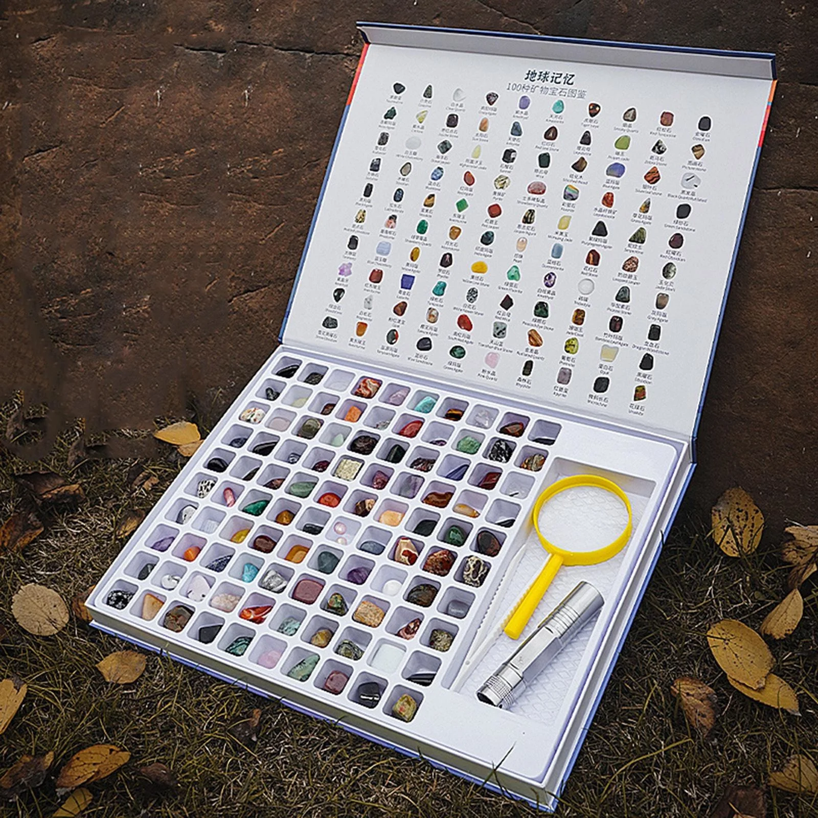 

Rock Mineral Kit Gemstone Collection Kids Gemstone Crystal Kit for Holiday Gifts