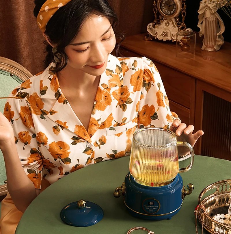Health Cup Glass Electric Kettle 600ml Anti-dry Fast Boiling Kettle Health Preserving Pot Household Office Retro Thermo Teapot 4