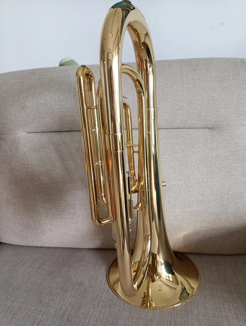 High quality Euphonium B flat three vertical key tenor horn holding trumpet brass instrument nts Case