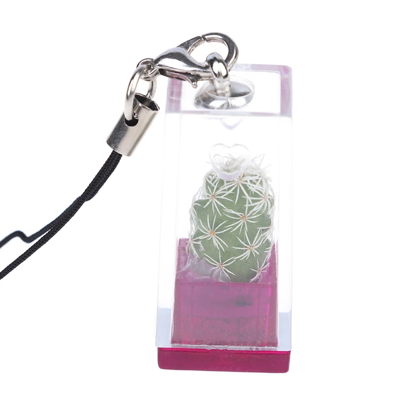 Succulent Plant Pendant Mini Succulent Cactus Plant Keychain Random Pendant Keyring Charm With Glass Cover Craft Gifts stainless steel keychain