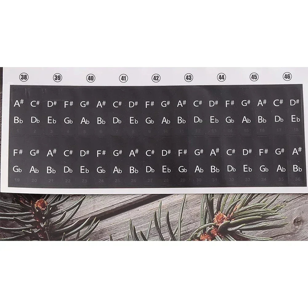 Piano Training Stickers For 88/61/54/49/37 Keys Transparent PVC Piano Key Decal Removable Keyboard Note Sticker Musical Supplie