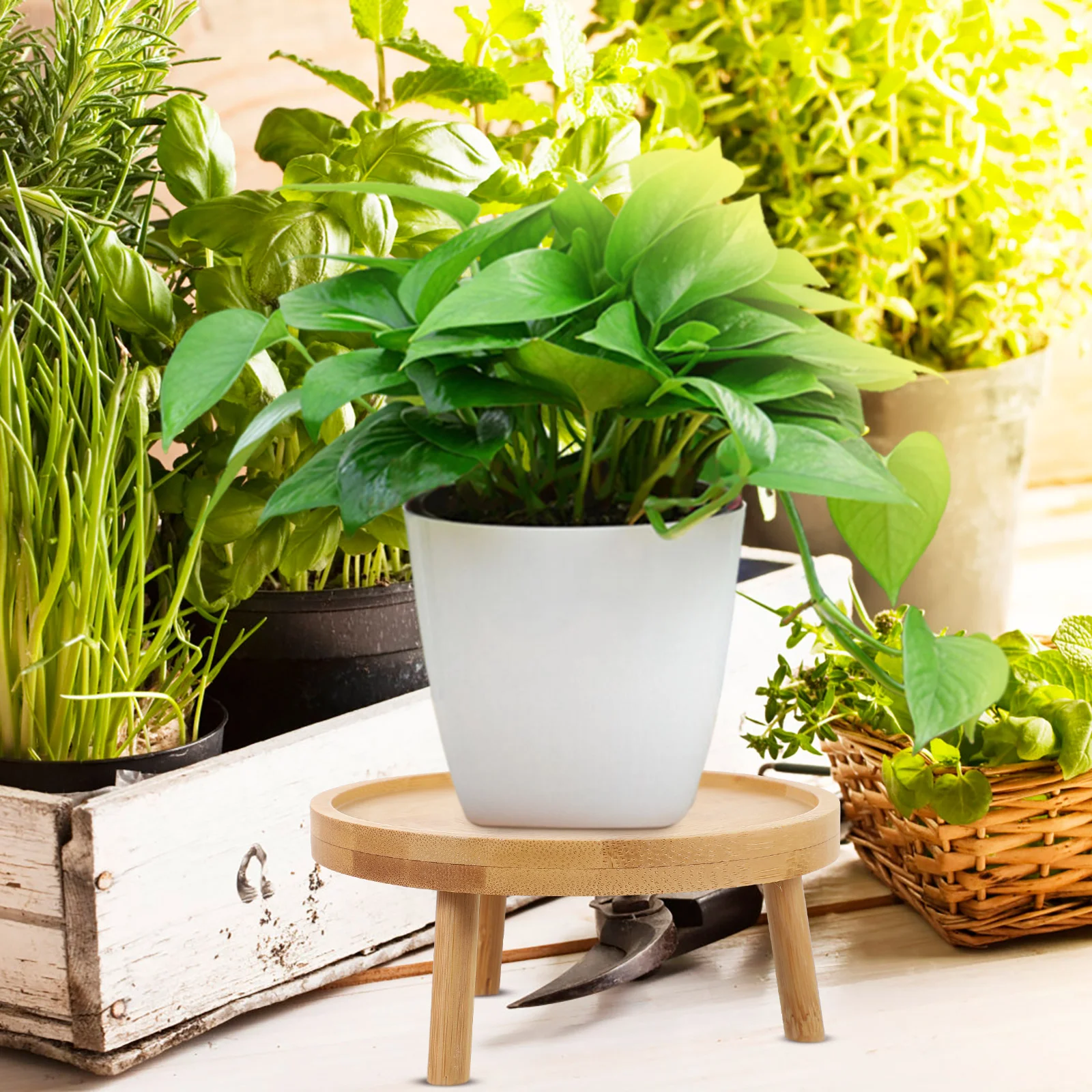 Plant Stand Round Wood Decorative Rack Solid Wood Flower Pots Planters Vintage Indoor Garden Balcony Planter Stands Smooth Modern Planter