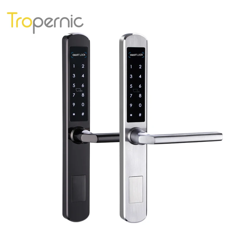 

IP66 TTlock Electronic Lock Handle for Hotel Smart keypad Rfid Sliding Door Locks