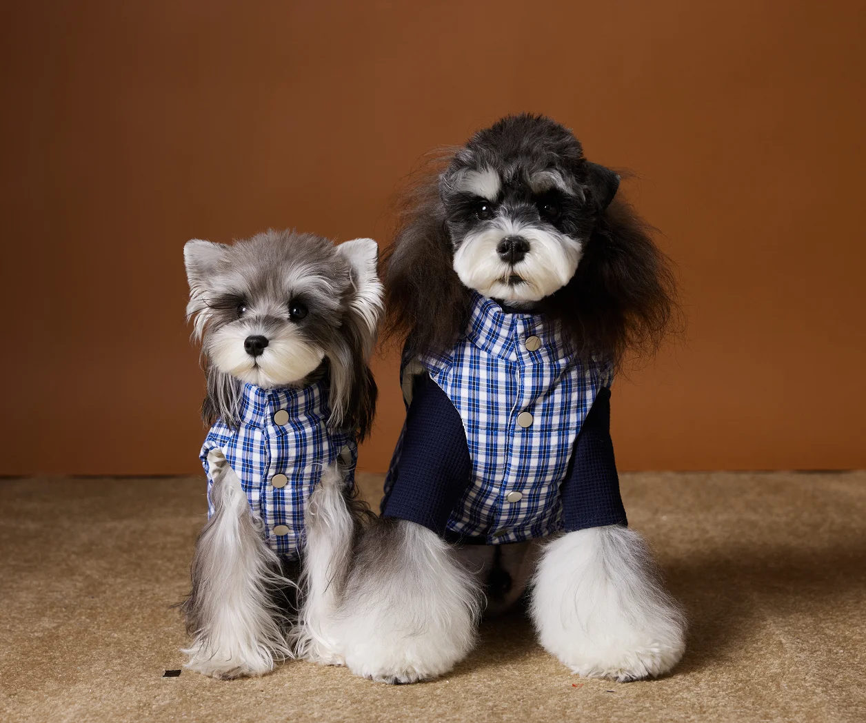 Padded Puppy Cat Clothes With D Rings Winter Warm Dog Jacket for Small Dogs Chihuahua Vest French Bulldog Coat Yorkie Outfits