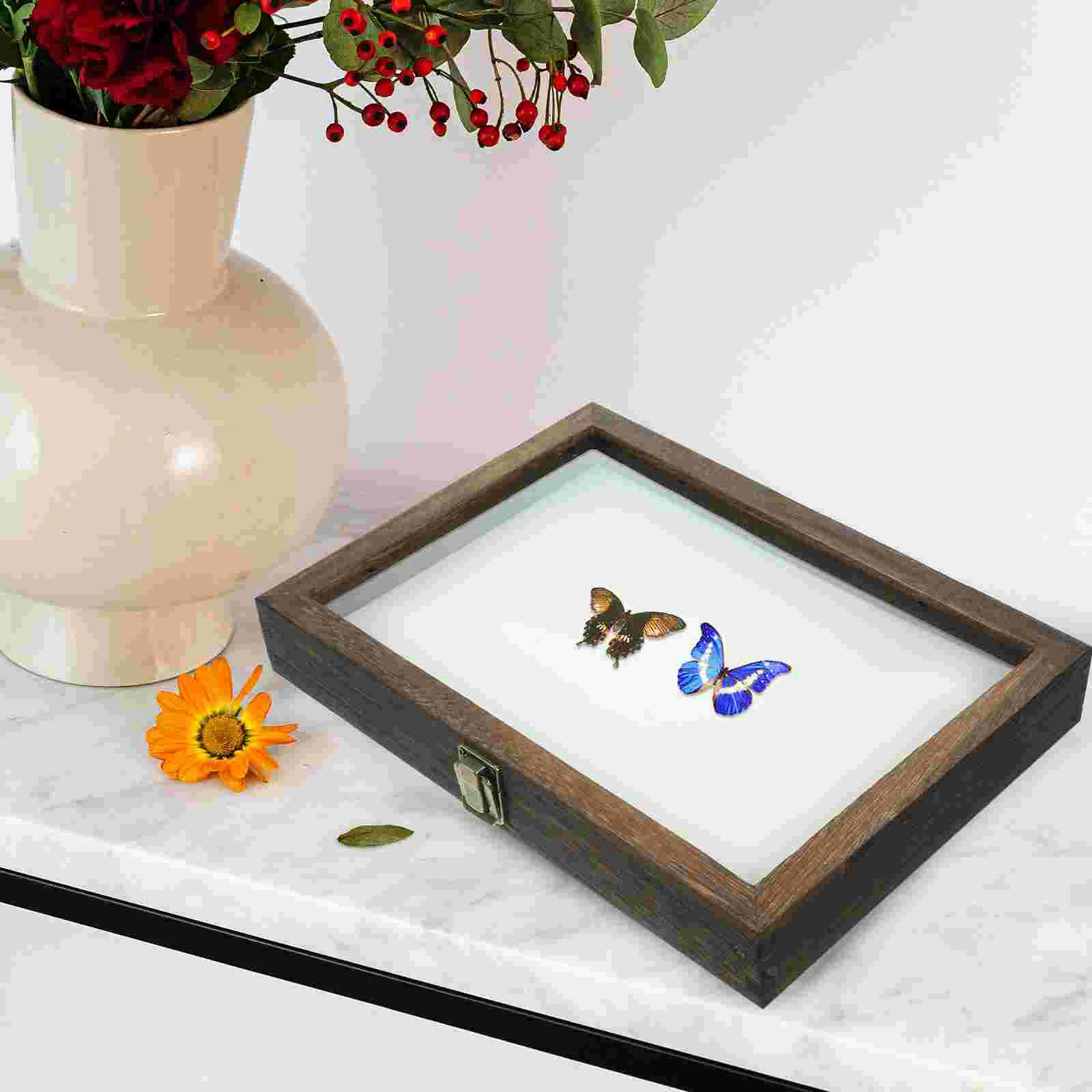 

Display Cases Insect Specimen Box Container Pin Wood Showcase Vintage Dustproof