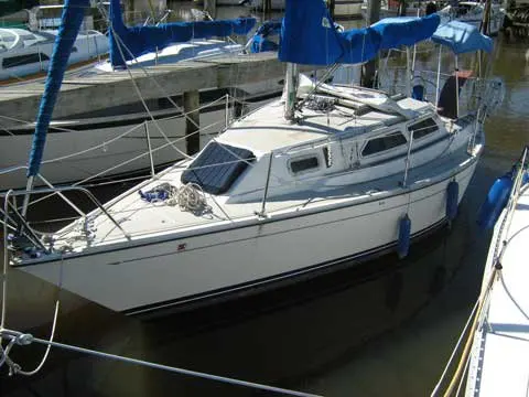 Рисунок 2 - Электрический мотор для лодки