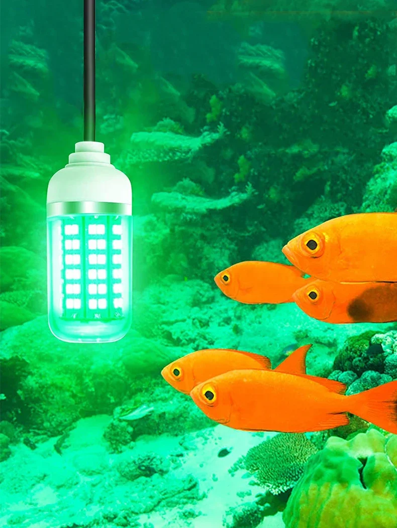 Description Picture 2 of itemLED Fishing Light Underwater Fish Lamp AC/DC12V Ip68 Bait Spotter Lights Attractive Lure To Gather Prawns Squid Krill Multicolor