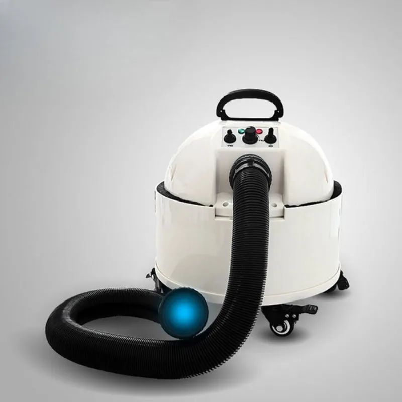 Double Motor Water Blower Pet Shop Dogs and Cats Large Dog Golden Retriever Variable Heating Hair Dryer Small Animals Supplies