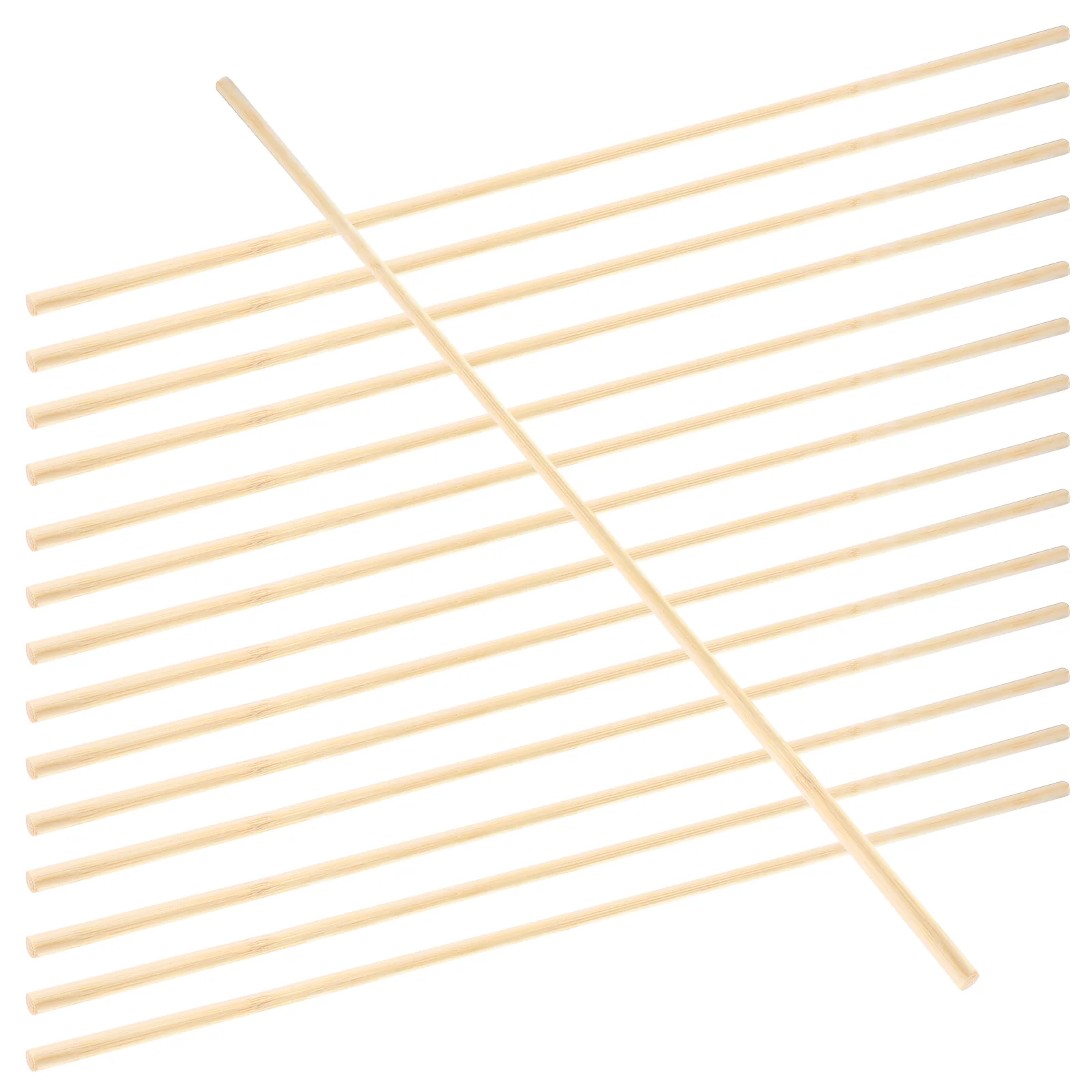 

20 Pcs Other Educational Toys Birthday Decoration for Girl Wood Plant Climbing Stand