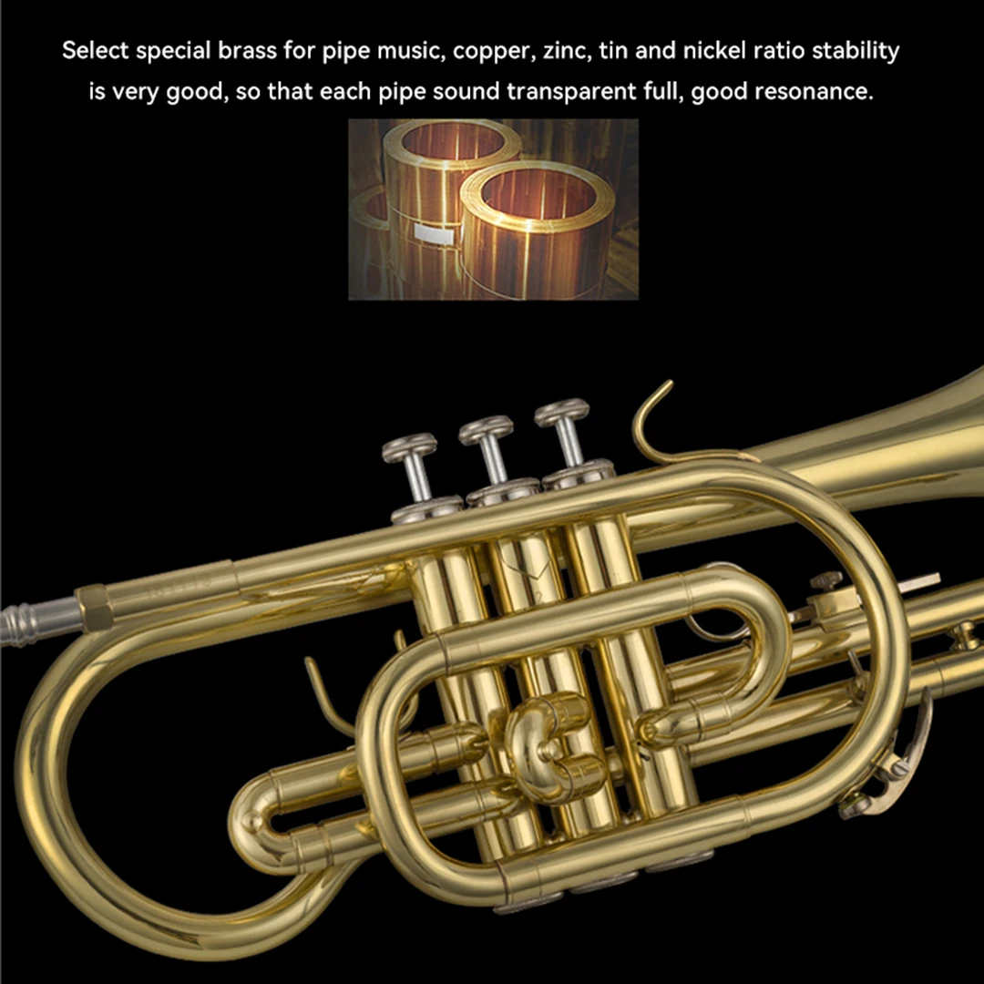Bb Cornet Trumpet Brass Musical Instruments with Hard Case and Mouthpiece Lacquer Trompeta