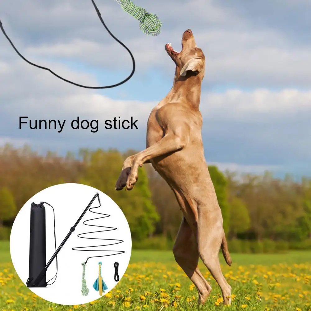 

Train Pet Portable Medium Large Dog Chasing Exercise Teaser Wand Pet Supplies