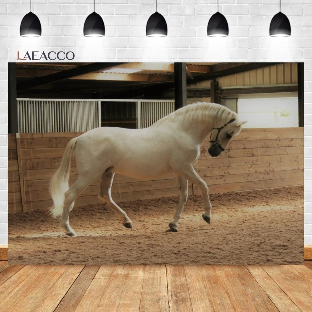 Laeacco ߻   ,  ð 縷  ,   Ƽ ʻȭ  