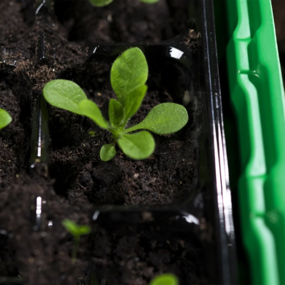 Greenhouse Grow Trays 12 Humidity Adjustable Plant Starting Kit with Dome and Base Mini Propagator for Seeds Growing