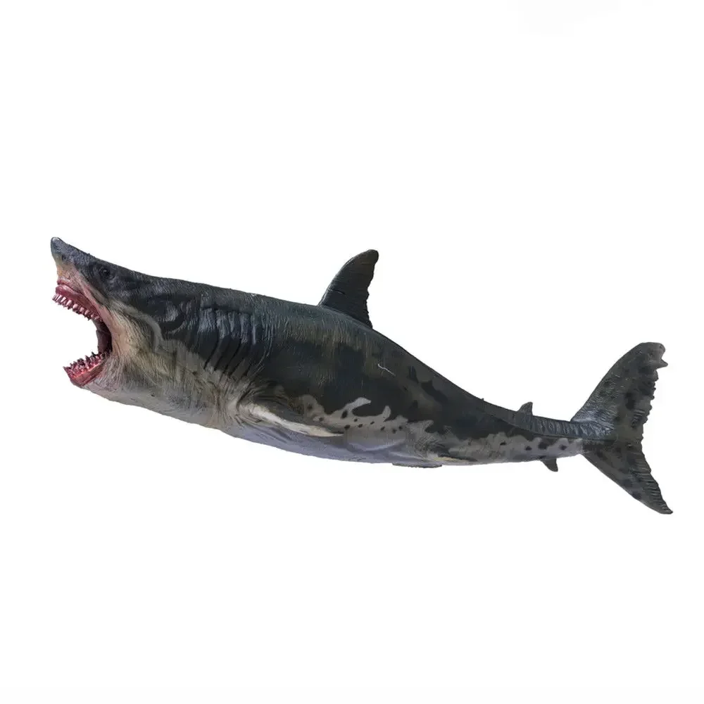 PNSO 1/35 メガロドン サメ 海洋動物 フィギュア おもちゃ プレゼント Pnso-先史時代の海洋動物フィギュア,1:35メガロドンモデル