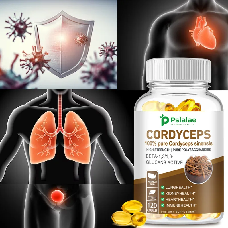 

Pure Cordyceps Sinensis Extract - Lung, Kidney, Heart, Immunity Health, Dietary Supplement