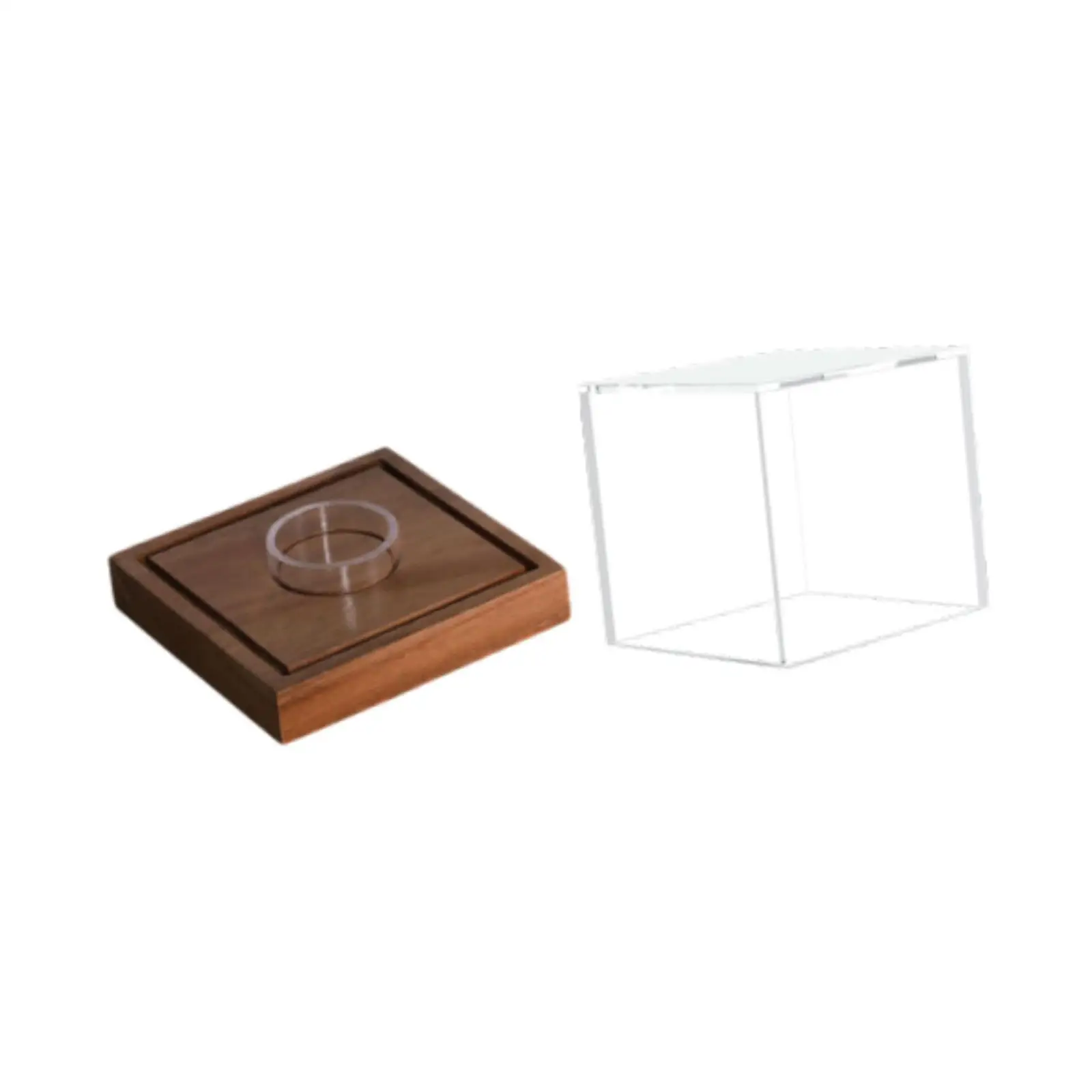 Caixa de Exibição para Bolas de Beisebol, Suporte para Bolas Autografadas, Proteção Contra Poeira, Acrílico, Caixa de Exibição de Memorabilia