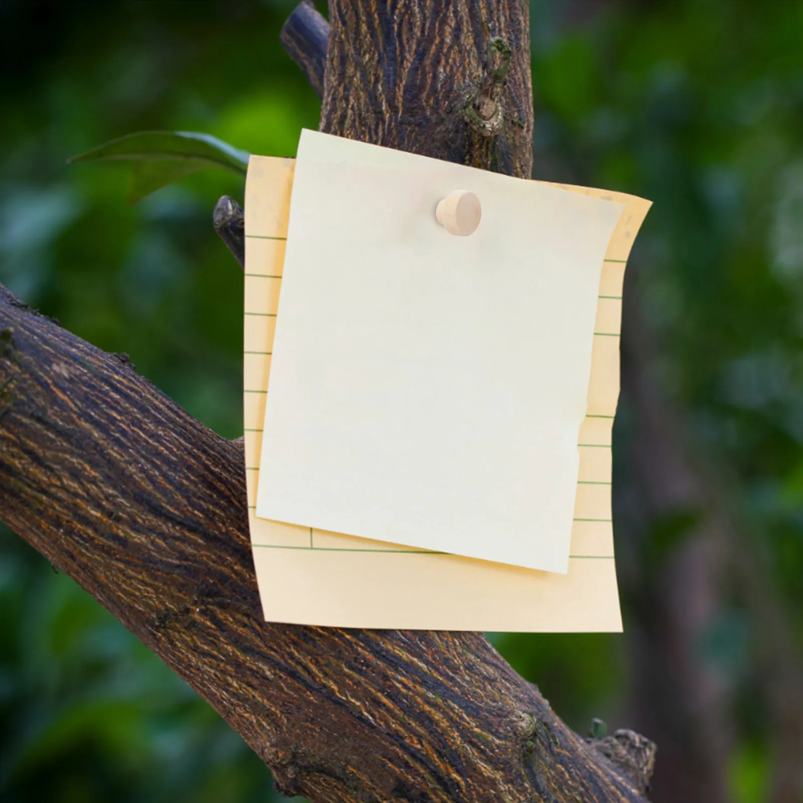 50개 나무 원형 푸시핀 코르크보드 사진 벽 장 압정 게시판 사무용품 푸시핀 압정