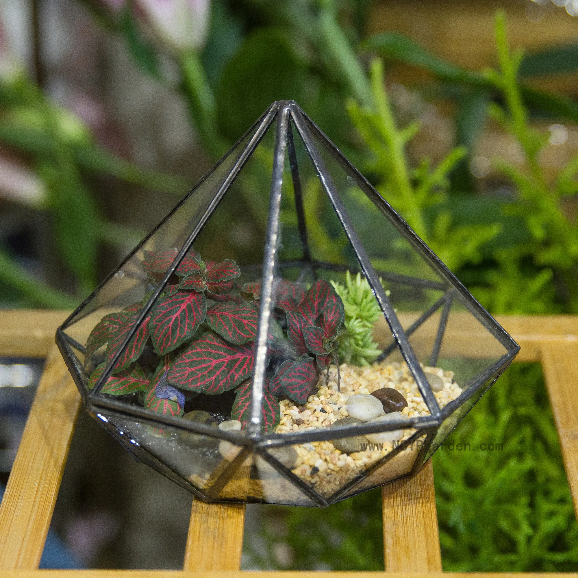 Description Picture 2 of itemClassic Octahedral Bonsai Pot Tabletop Succulent Pot Geometric Glass Terrarium Plants Planter Balcony Flower Pot Decorative