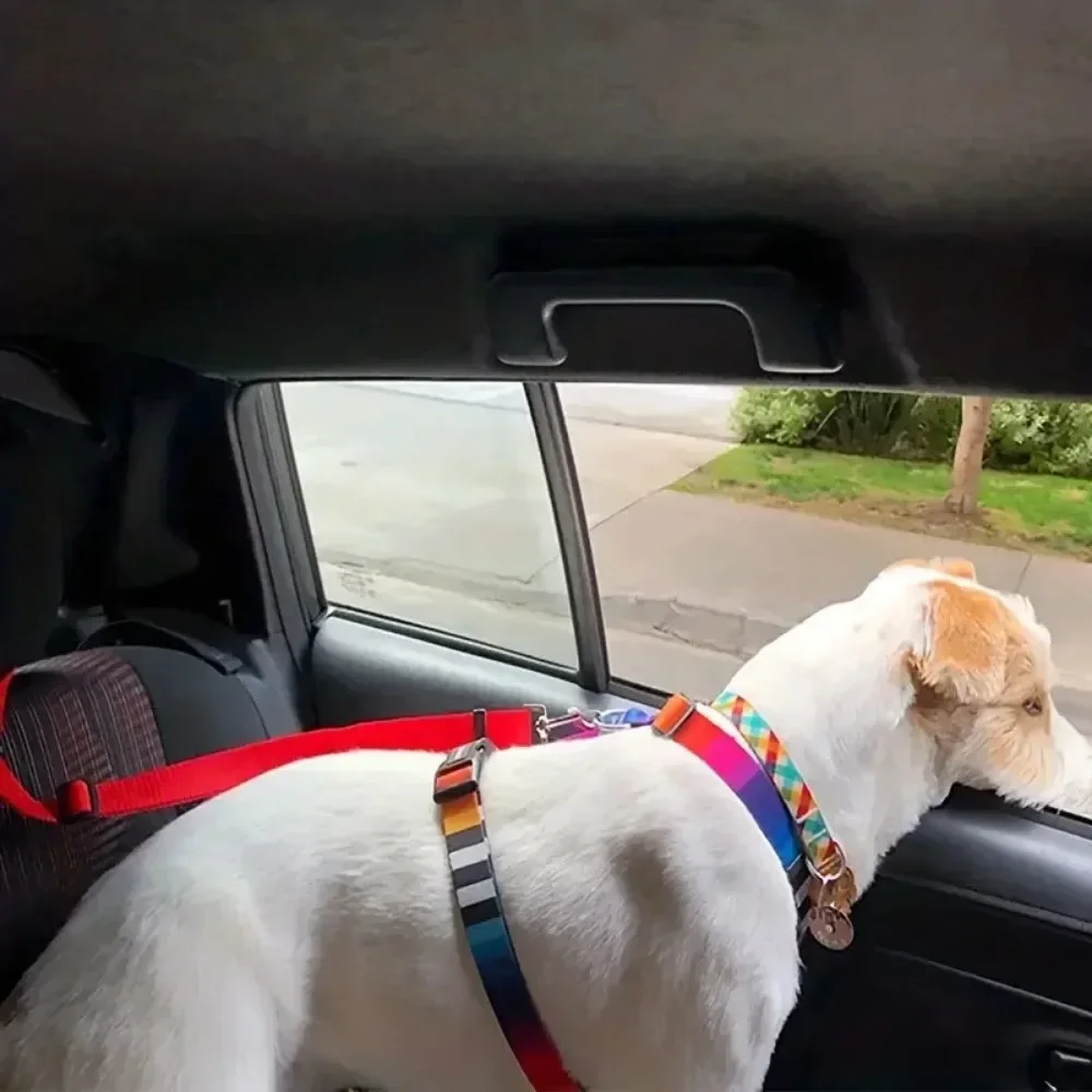 1Pc 2 in 1 Pet Dog Cat Seat Belt for Small Dogs dog seat belt