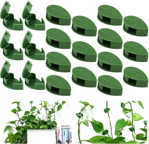 

Plant Climbing Wall Rattan Clamp Self-Adhesive Fastener Tied Fixture Fixed Bracket Stent Wall Rattan Fixed Buckle Hook Sup