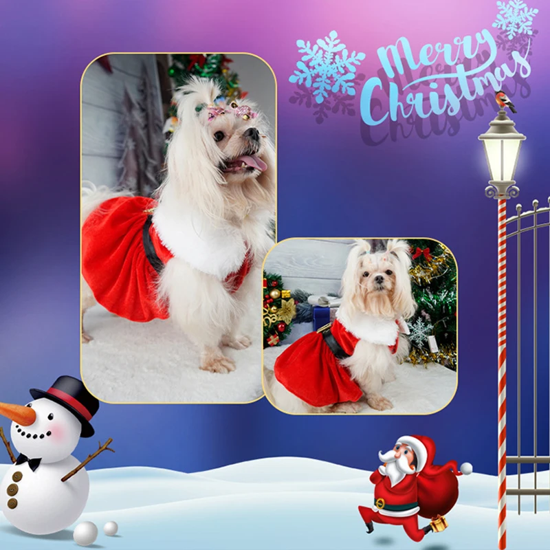 Pet Christmas Party Dresses for Cat and Small Dogs 4