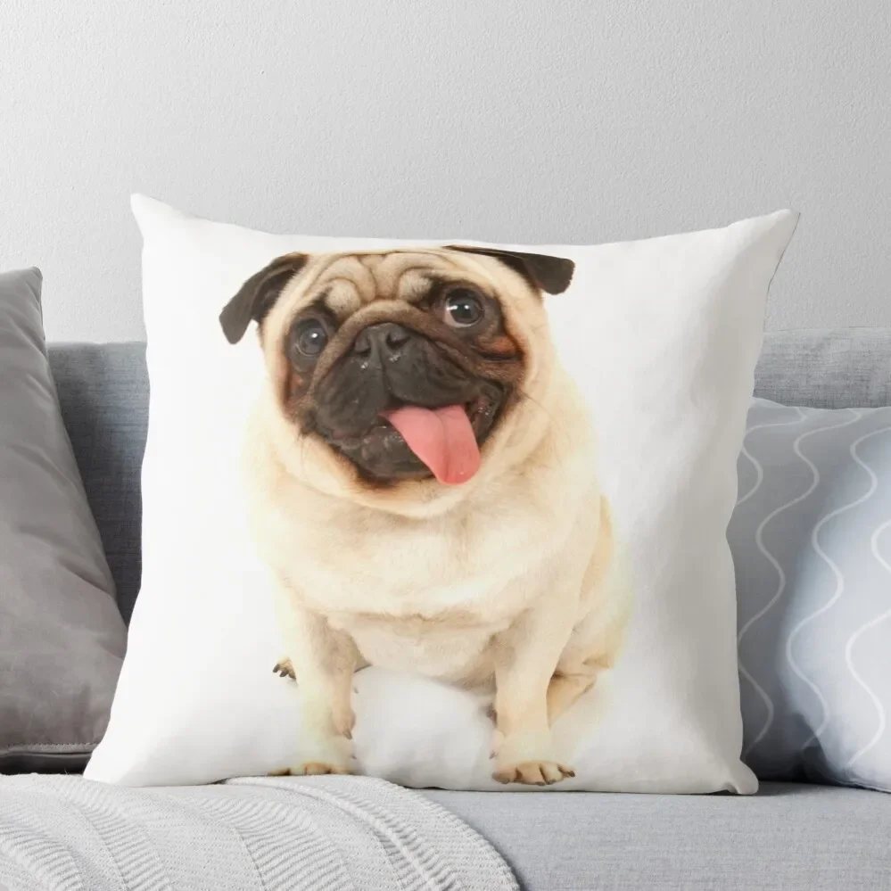 

pug Throw Pillow Christmas Throw Pillows Covers Cushions For Children Decorative Cushions For Living Room