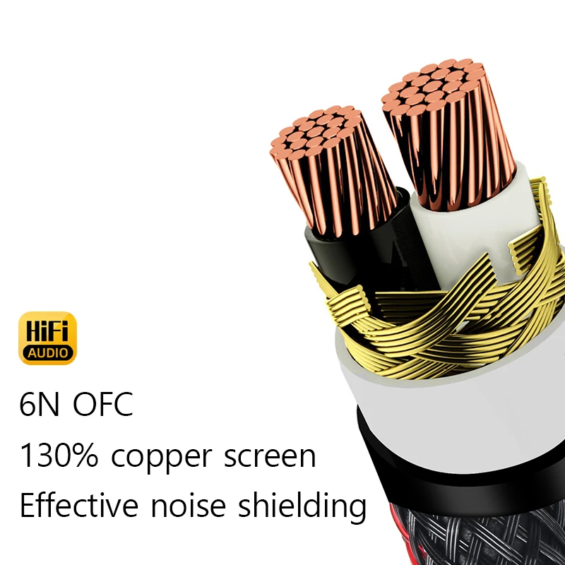 Premium High-Fidelity Dual 6.5mm to XLR Audio Cable with 6N OFC for Amplifiers and Sound Systems
