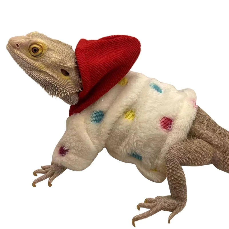 polka dot red hat