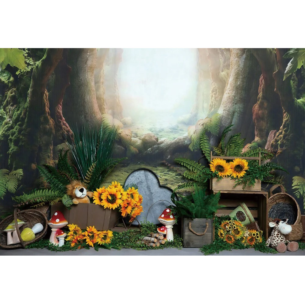 ̺      갣 Ƽ  Photophone   Accessorie   Ʃ