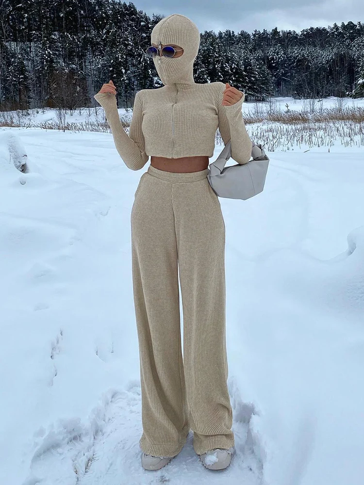 Classic Sporty Women 2Piece Set Concise Autumn Tracksuits Solid Hooded Zip-up Crop Tops+Matching Pants Female Knit Suits