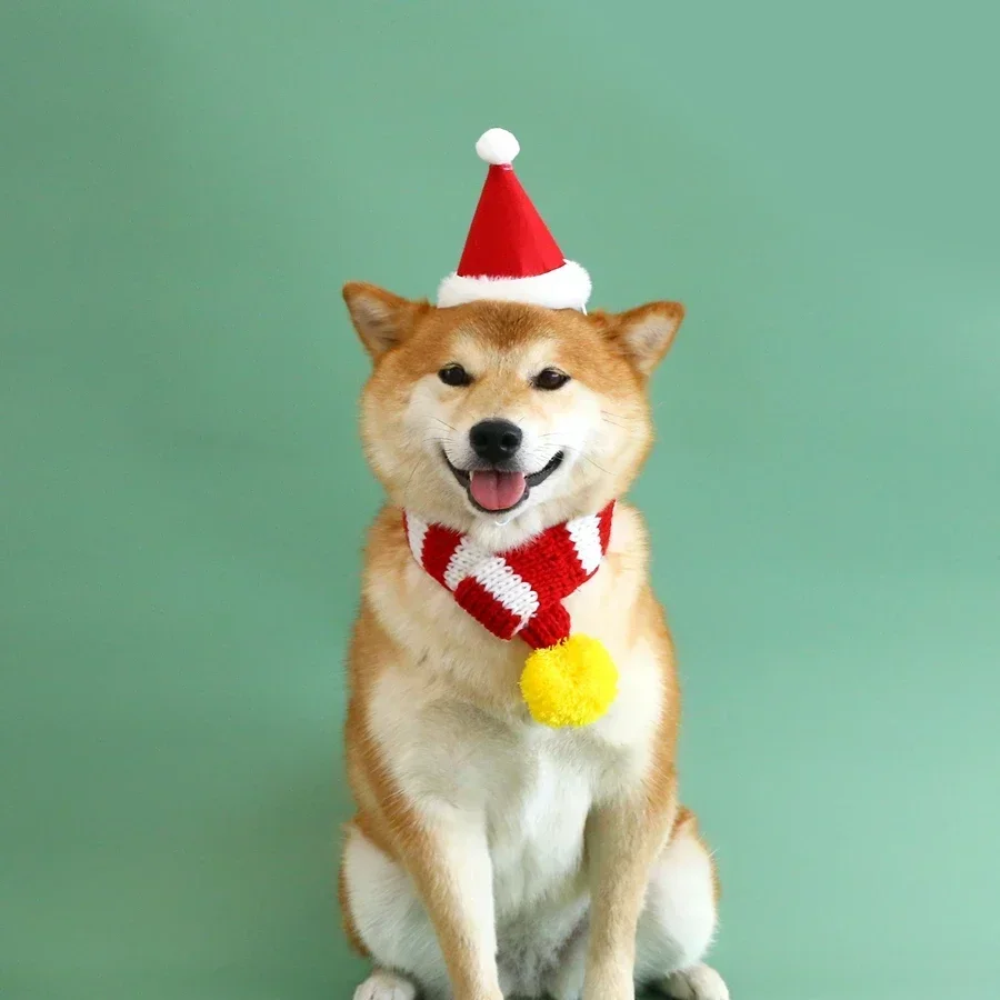 1pcs pet knitted yarn striped Christmas scarves