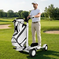 Scooter électrique puissant pour le golf, 10 pouces, pour adultes, double moteur, pliable, batterie amovible, démarrage par mot de passe 1