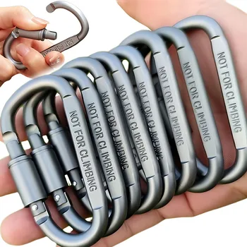Carabiner 1