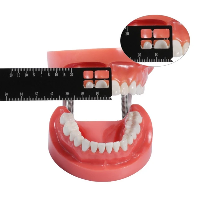 Dental Precision Measuring Ruler Multi-Measuring Ruler - China
