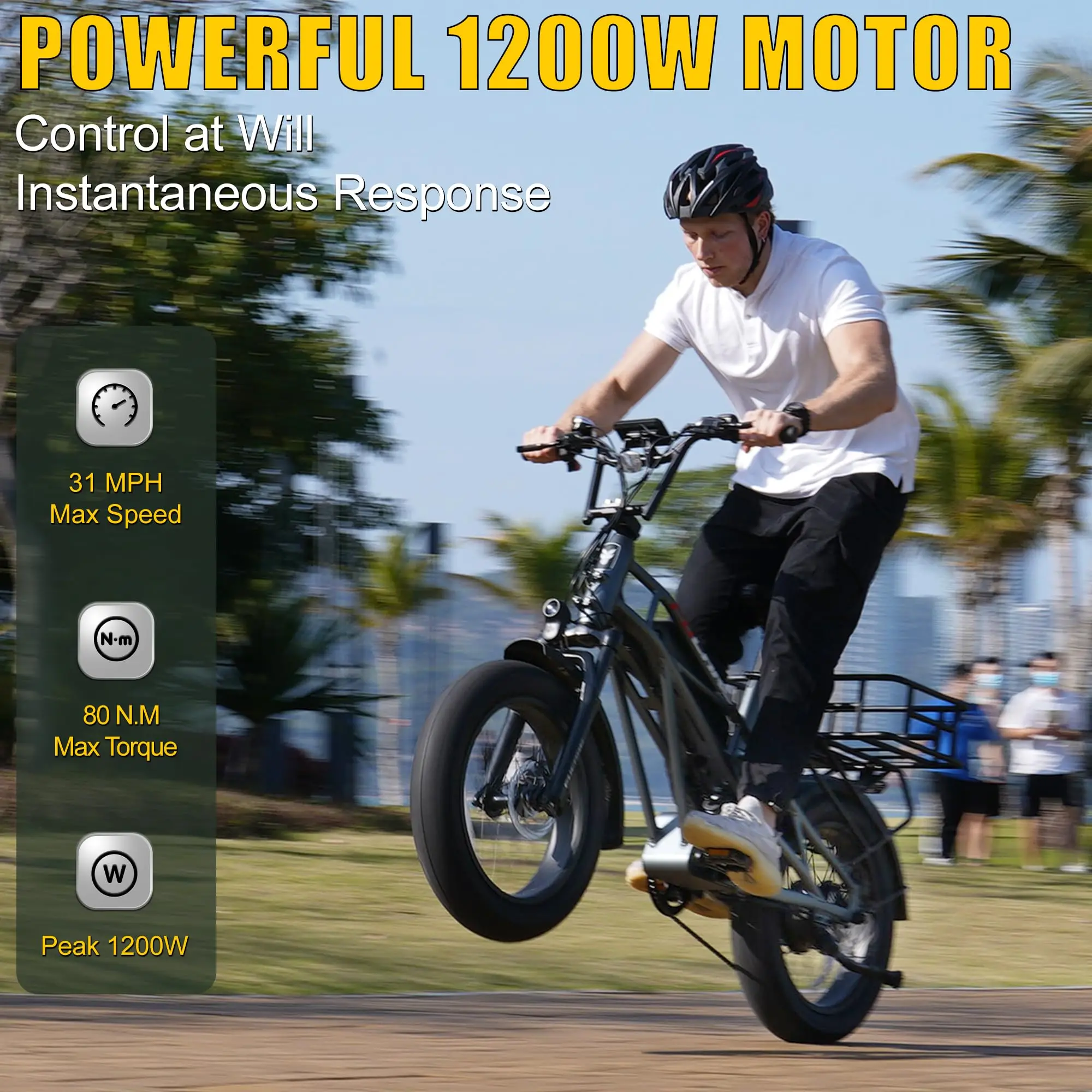 

20 Inch 750W Electric Cruiser Bike for Adults Electric Bicycle with 48V Removable Dual Battery Dual Shock Absorber E-Bike