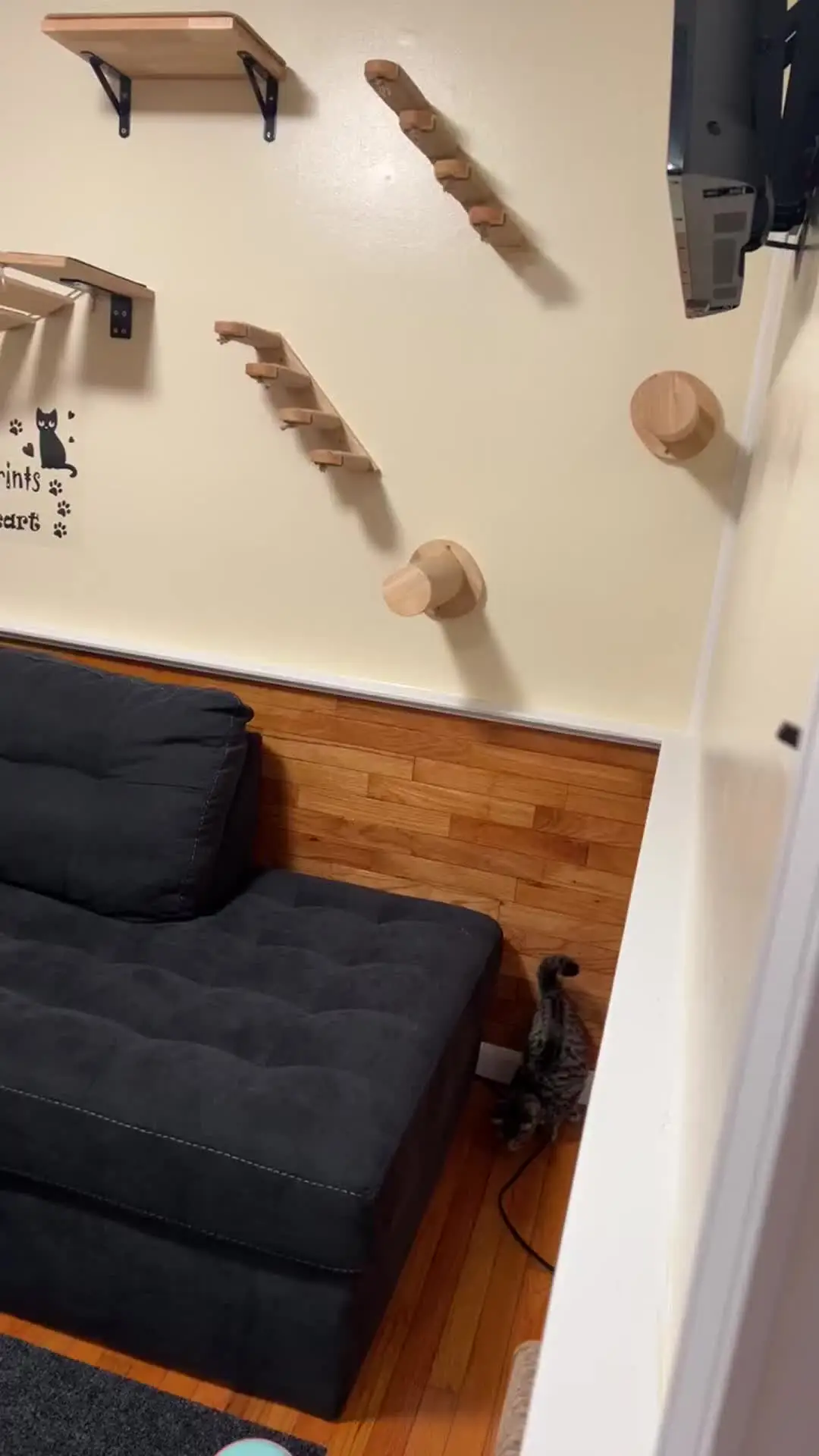 Lettino Tiragraffi Per Gatti In Sisal - Con Bordo Rialzato, Antiscivolo, 2 Misure - Foto 3