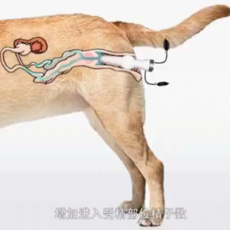 How Much For Artificial Insemination For Dogs