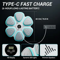 2025 Music Boxing Machine for Adults Bluetooth Music Punching Machine with Gloves 9 Modes and Speeds Wall Boxing Punching Pad H 5