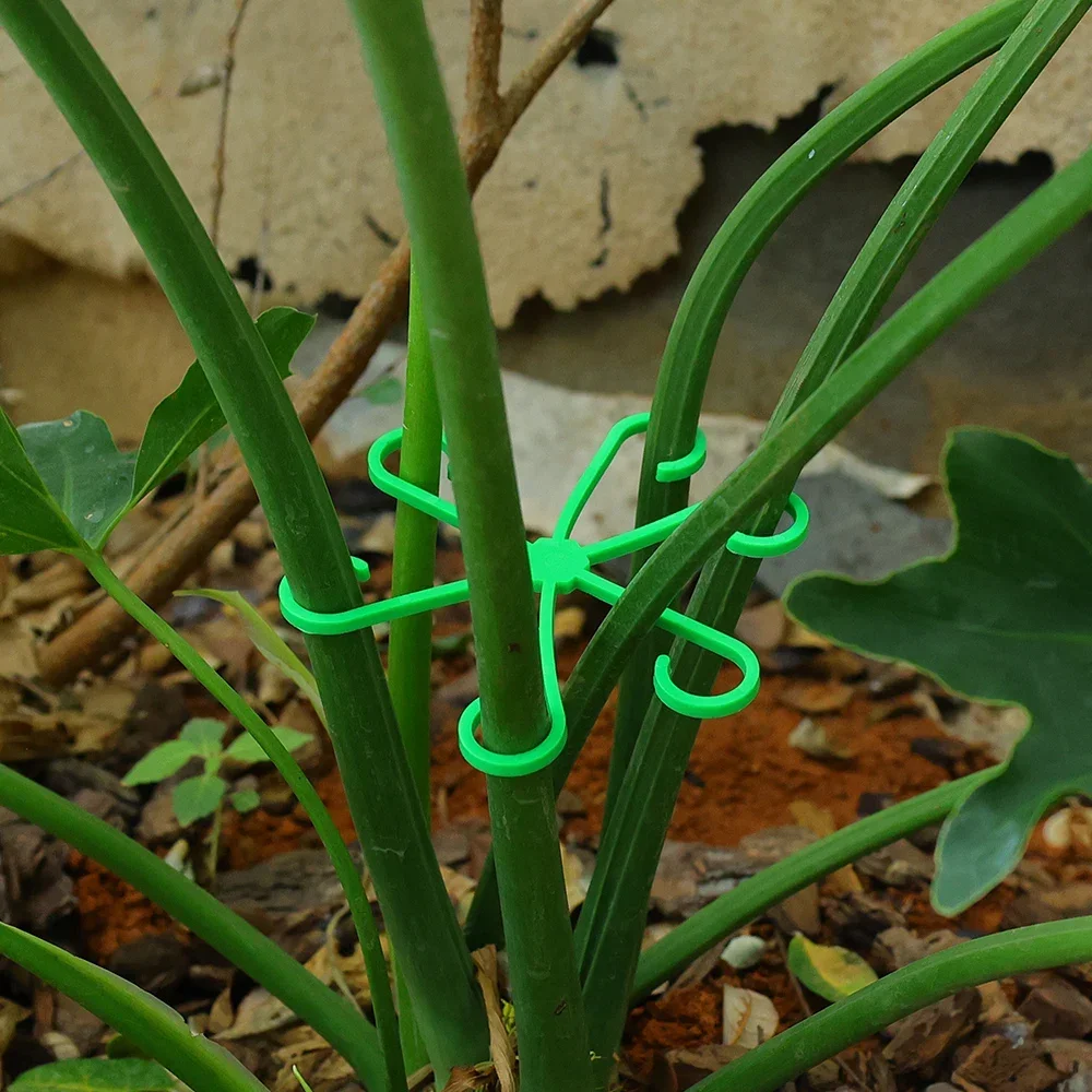 4PCS Reusable Plant Stem Support Folding Frame Garden Tools No Stake Trellis Support Branches Organizer