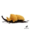 Megasoma Elephas Insect High Fidelity Anime Cute Plushie Dynastes Dorbeetle Plush Toys Lifelike Animals Simulation Stuffed Doll 1