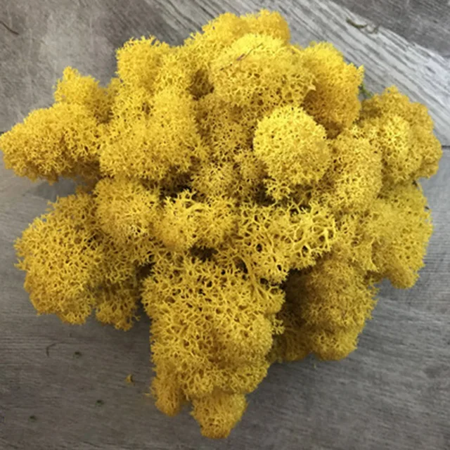 lemon yellow
