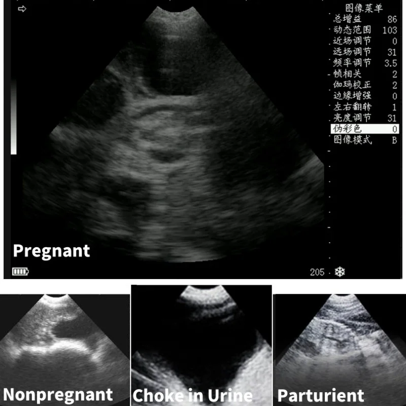 Veterinary Ultrasound Scanner Portable Pregnancy Testing For Cattle Cow Pig Sheep Horse Farm Animals Pet B-ultrasound Equipment 3