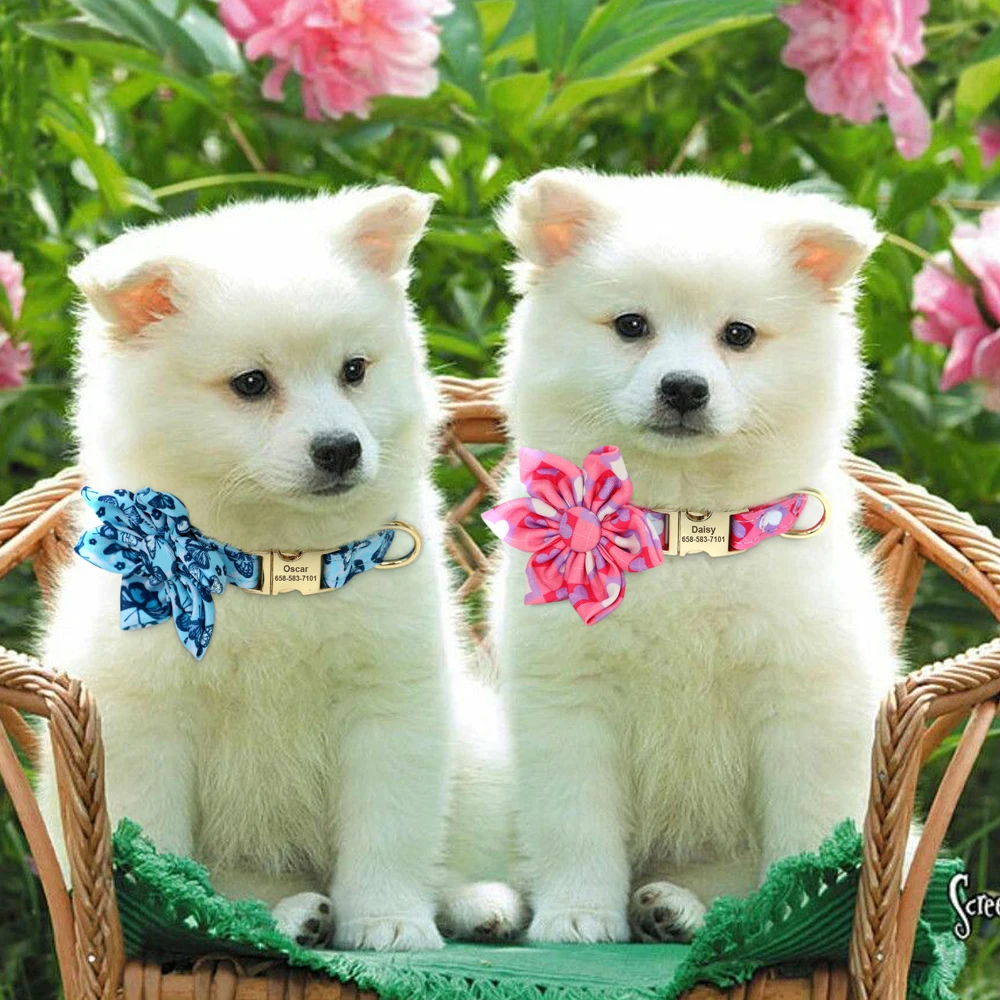 Cute Bowknot Flower Pet ID Collars - PeticaDeals